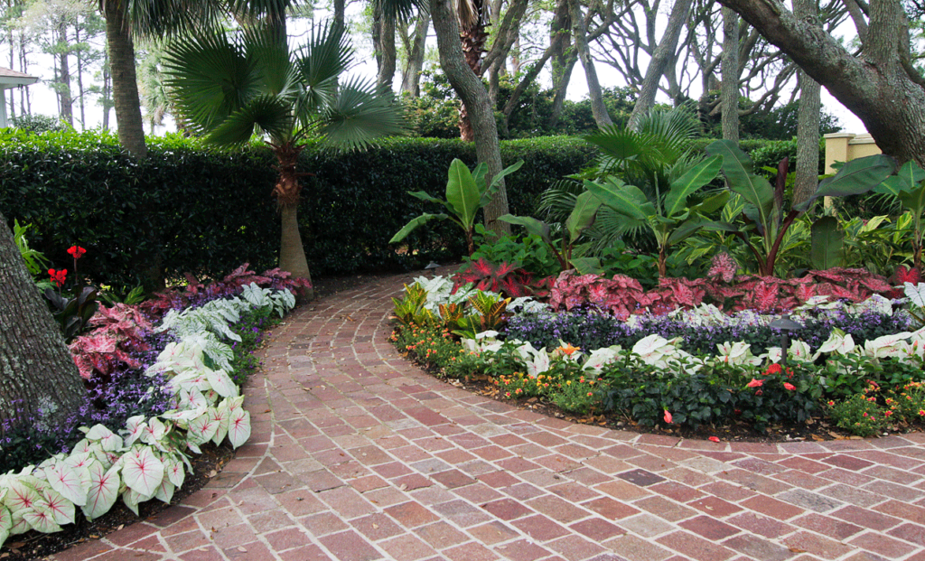 Green Thumb Hilton Head Lawn and Landscape Maintenance