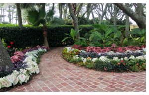 Green Thumb Hilton Head Lawn and Landscape Maintenance